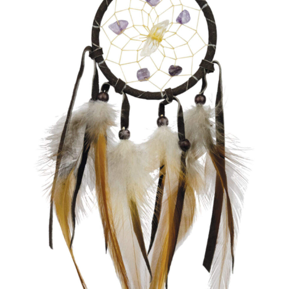 2.5" Vision Seeker Dreamcatcher
